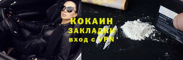 СК Алексин