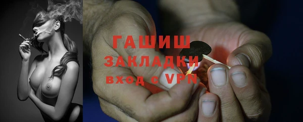 СК Алексин