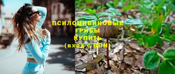 СК Алексин