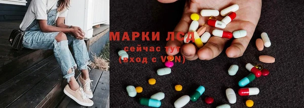 ГАЛЛЮЦИНОГЕННЫЕ ГРИБЫ Алексеевка