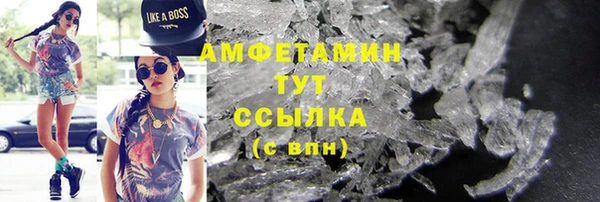 СК Алексин