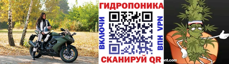 OMG рабочий сайт  сколько стоит  Заполярный  Конопля гибрид 